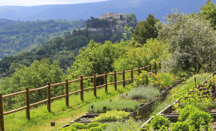 Botanische Erkundung der Domaine de la Citadelle