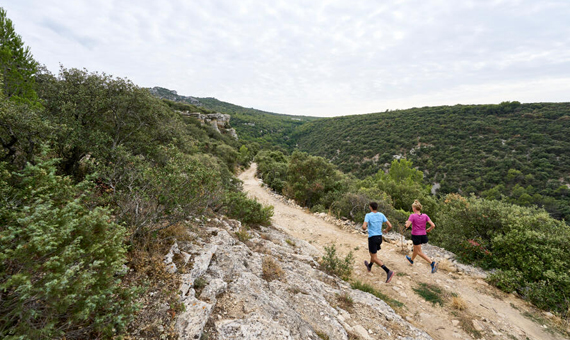 Monts de Vaucluse